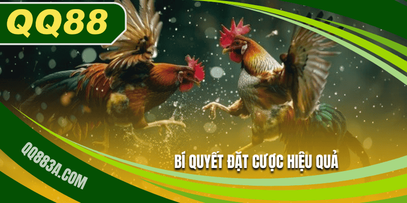 Bí quyết đặt cược hiệu quả